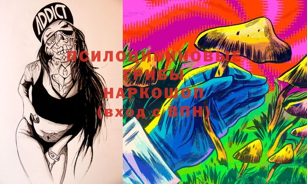 PSILOCYBIN Баксан