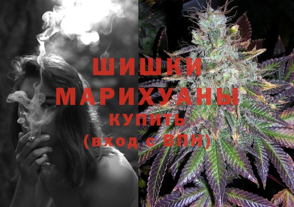 PSILOCYBIN Баксан