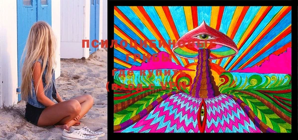 PSILOCYBIN Баксан