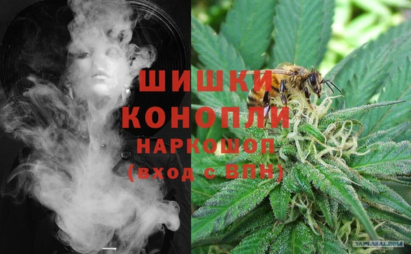 PSILOCYBIN Баксан