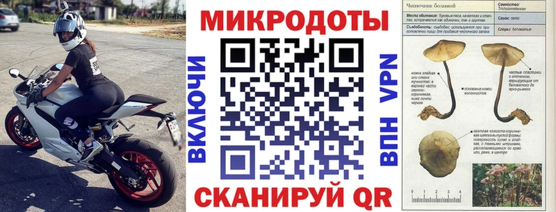 купить цена Бахчисарай Галлюциногенные грибы Magic Shrooms